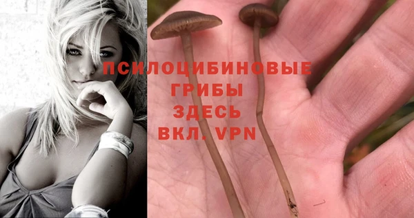 2c-b Абдулино