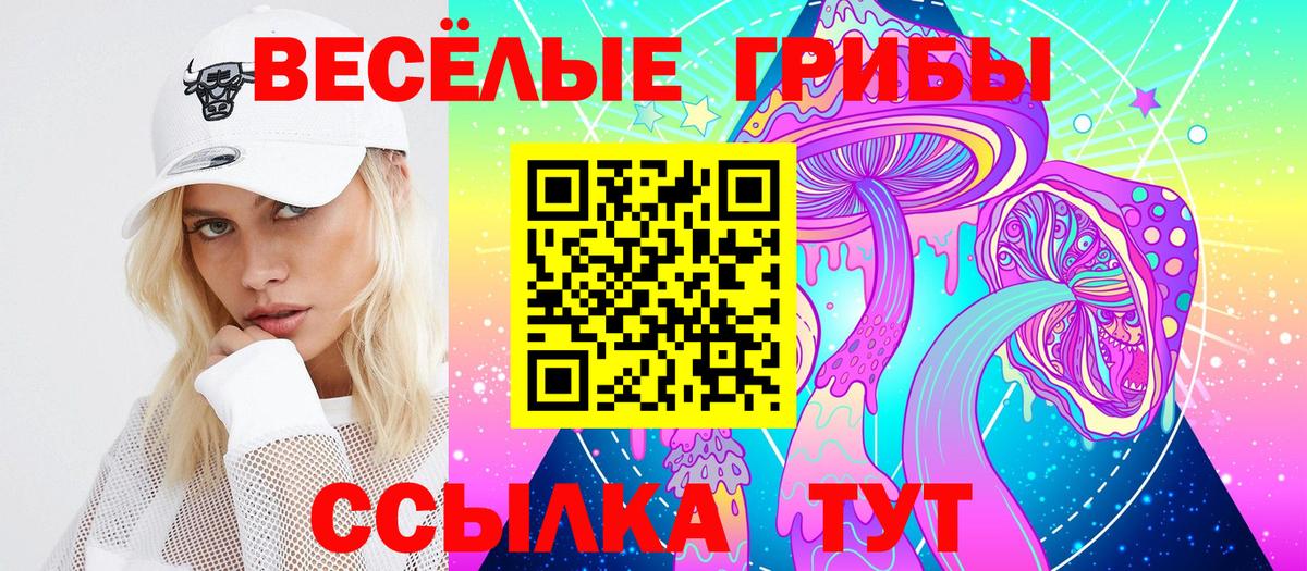 Галлюциногенные грибы Psilocybe  Вход с VPN  Торжок 