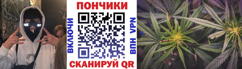 МАРИХУАНА MAZAR где найти наркотики Торжок